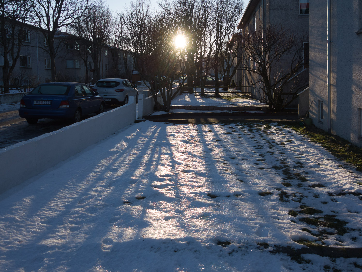 Reykjavík. Miscellaneous XCIV. - Snow :-) II. (1 till 29 February 2016)