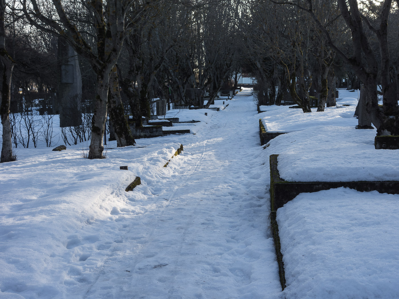 Reykjavík. Miscellaneous XCV. - Snow! (1 till 31 March 2016)