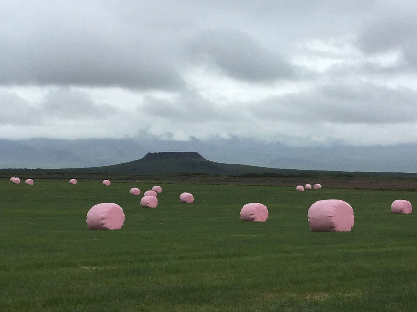 Snæfellsnes. This and that, landscape. - Snæfellsnes. I. (23 July 2016)