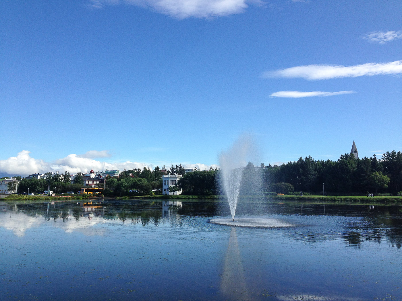 Reykjavík. Miscellaneous #100. - Reykjavík. Tjörnin pond. (End of July 2016)