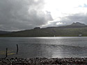 13 August 2009  Djúpavík. Round things on the watersurface beside beams in water.