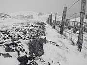 Subject 1 - The old herring factory in Djúpavík - 50 pictures