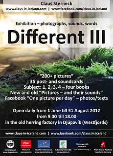 Exhibition "Different III" by Claus Sterneck in Djúpavík - 1 June till 31. August 2012