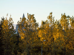 11 October 2015