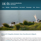Different III: Fotografien, Geräusche, Texte. Claus Sterneck in Djúpavík (Deutsch-Isländischen Netzwerk)